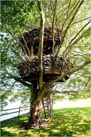 Bird Nest Tree House Long Island Tree House Home Garden Images Cool Tree Houses