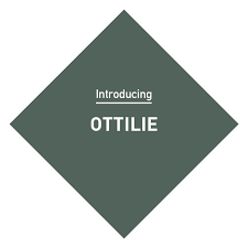 Do you want to book us, ryan & craig, for a captivating video chat with your family, friends, classroom or even school?! Craig Rose Introducing Ottilie We Re Pretty Sure Facebook