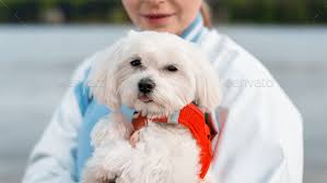 Cozy fleece lined original pet