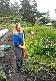 Vegetables As A Way Of Life Interesting News Articles Anti Inflammatory Diet Farm Gardens