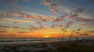 Sunrise will be attending central florida veg fest. Top 3 Places To Watch The Sunrise On Florida S Space Coast Visit Space Coast