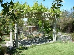 Weinreben Pergola Und Passende Kletterpflanzen Fur Ihren Gartenbereich In 2020 Weinlaube Pergola Dach Garten Hangematte
