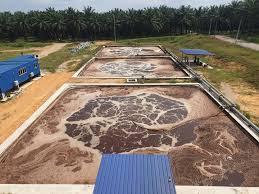 Pome is an acidic thick brownish. Palm Oil Mill Effluent Technology Home Facebook