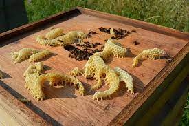 Food, beauty, cleaning, diy, parenting and more today's mother's day deal of the day: 20 Awesome Life Hacks That Will Simplify Your Life Bright Side