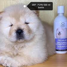 That's where hair growth shampoos come in. Meridian Premium Grooming Shampoo Pet Supplies Health Grooming On Carousell