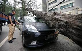 We did not find results for: Alahai Keretaku Dihempap Pokok Metrotv
