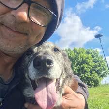 Fred Timm (@fredtimm_musik) • Instagram photos and videos