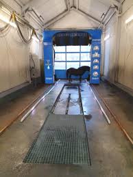 Gulf Tankstelle Bad Muskau Gbr Home Facebook