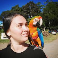 Tips for macaw owners and breeders