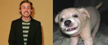 In an interview with kelly clarkson, mendes revealed that she and gosling are controlling parents. Is Ryan Gosling Cuter Than A Puppy