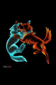 Beautiful Wolves Fighting Fire And Ice Two Wolves