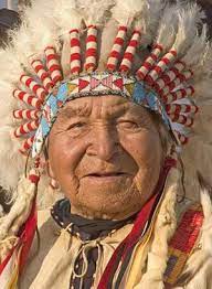 Jump to navigation jump to search. Dave Bald Eagle Emmy Awards Nominations And Wins Television Academy