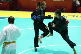 Pencak silat yang digunakan dalam pertandingan merupakan salah satu unsur dari. Ragam Tendangan Dalam Pencak Silat Halaman All Kompas Com