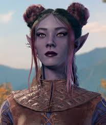 About to start playing bg3. Druid ranger or rogue? Idk what I'm doing