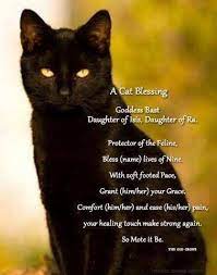 Check poison symptoms, diagnosis & treatments. Cat Prayer Quotes Quotesgram