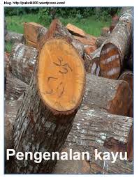 Sebelum memilih jenis pintu ini, kamu harus maka dari itu, dari segi harga, setiap jenis pintu kayu pun berbeda. Http Produksidesain Blogspot Com 2013 12 Kayu Merawan Html