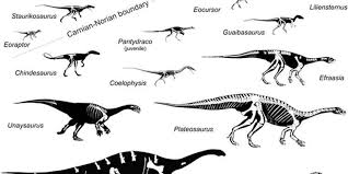 Resultado de imagem para os dinossauros