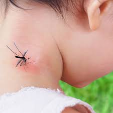Image result for ant bite