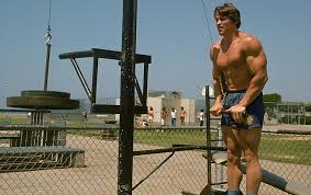 Submitted 4 years ago by leech5. Arnold Schwarzenegger Athlete Actor Bodybuilder Arnold Schwarzenegger Hd Wallpaper Wallpaperbetter