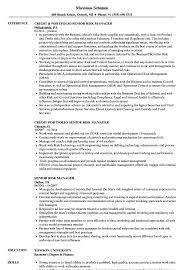 Typical work activities listed on a risk manager resume are assessing risk, implementing risk management processes, establishing the level of risk the company can accept, purchasing insurance, implementing safety measures and training the staff in order to increase risk awareness. Senior Risk Manager Resume Samples Velvet Jobs