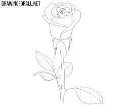 • use the inner circle and draw the center of the flower. Drawing Rose Drawing Easy