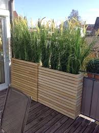 Visit us today for the widest range of plants products. Patio Privacy Plants Backyard Privacy Fence Landscaping Ideas On A Budget Tall P Backyard In 2020 Privacy Fence Landscaping Privacy Screen Plants Backyard Privacy