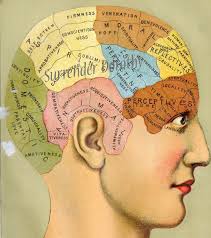 Unscientific Assessment Phrenology For Recruitment