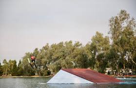 CURIOSITY DIDN'T KILL THE CAT SOCIETY DID BY CAROLINE TIERNEY — Second  Right Answer