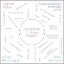 Stages Of Literacy Development The Literacy Bug