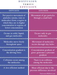 What Is The Difference Between Diffusion And Effusion Pediaa Com