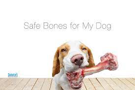 Safe Bones For Dogs Darwin S Natural Pet Products Darwin S Natural Pet Products Darwin S Pet Food
