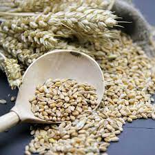While cooking barley, you can observe that its size gets doubled. Barley Benefits Nutrition Benefits Recipes And Side Effects Dr Axe