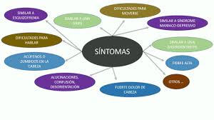 A diferencia de la meningitis, que produce una inflamación de las membranas que protegen el cerebro y. Sintomas Encefalitis Anti Nmdar Youtube