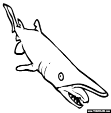 They are known for their agility and sharp teeth. Goblin Shark Coloring Page Free Goblin Shark Online Coloring