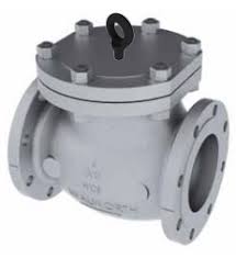 3" WALWORTH #5344F - 300# Cast Steel Swing Check Valve ...