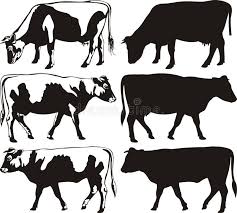 Photo About Icon Of Cattle Black And White Farm Animals Image Of Agriculture Bull Grazing 38061685 Bull Cow Animal Art Cattle