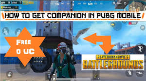 How to unlock falcon companion in pubg mobile new trick | season 14 new dog companion biggest trick. Pubg Mobile Falcon Game And Movie