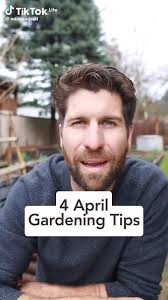 Alyssa Kitchens (alyk75)