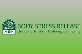 Wat Is Bsr Body Stress Release Meppel