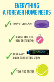 Everything A Forever Home Needs Best Pet Dogs Dog Gifts Dog Supplies
