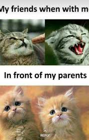 Pin By Jabeen On Besties Friendship Funny Jokes In Hindi Funny School Jokes Fun Quotes Funny