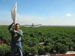 Image result for tbn:_Eia2TdEdDck4M::www.margasgolf.es/img/el_campo.jpg