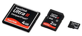 If your camera only has an sd slot, you can still use a microsd card. Memory Card Wikipedia