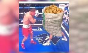 El mexicano, pone en juego sus cetros de peso supermediano del consejo mundial de. Canelo Vs Yildirim Los Mejores Memes De La Pelea Del Mexicano