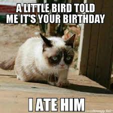 Maybe you would like to learn more about one of these? The Grumpy Cat On Twitter If Its Your Birthday Then Happy Birthday Http T Co Cgxdeuvfbq