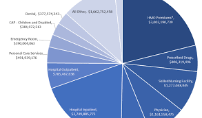 As Billions In Tax Dollars Flow To Private Medicaid Plans