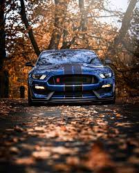 Mustang Gt500 Ford Mustang Shelby Mustang Gt500 Ford Mustang Gt