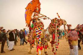 It is your finest opportunity to experience rural india in its organic form. A Complete Guide On Pushkar Camel Fair 2021 Pushkar Camel Fair Guide 2022