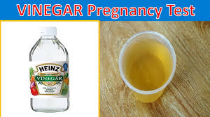 white vinegar pregnancy test