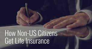 Check spelling or type a new query. How Non Us Citizens Get Life Insurance Evolution Insurance